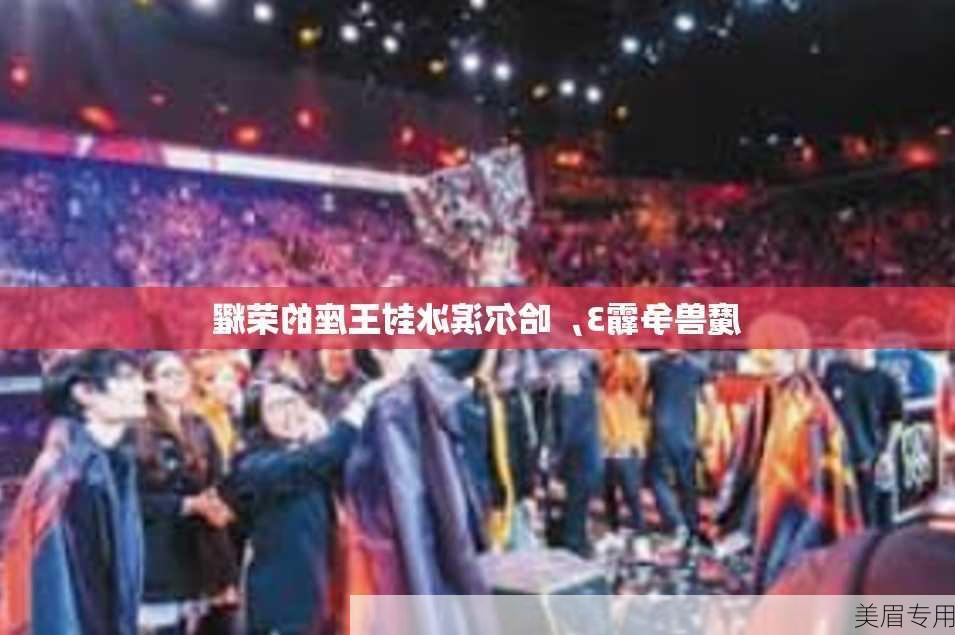 魔兽争霸3，哈尔滨冰封王座的荣耀