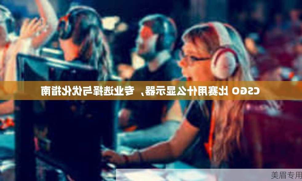 CSGO 比赛用什么显示器，专业选择与优化指南