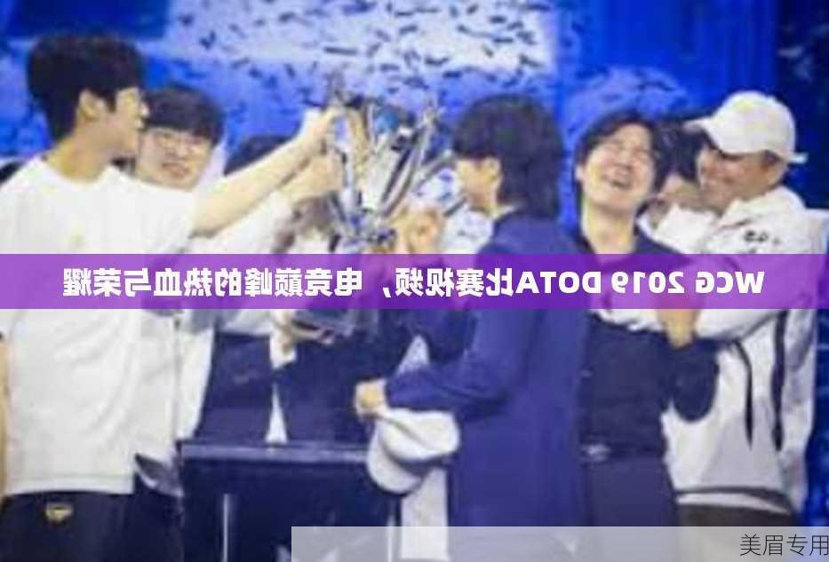 WCG 2019 DOTA比赛视频，电竞巅峰的热血与荣耀