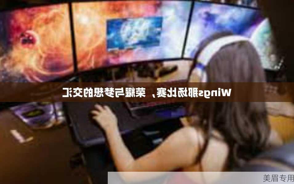 Wings那场比赛，荣耀与梦想的交汇