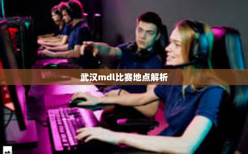 武汉mdl比赛地点解析