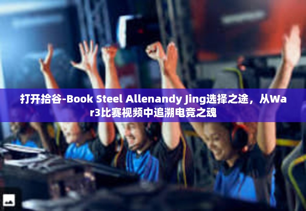 打开拾谷-Book Steel Allenandy Jing选择之途，从War3比赛视频中追溯电竞之魂